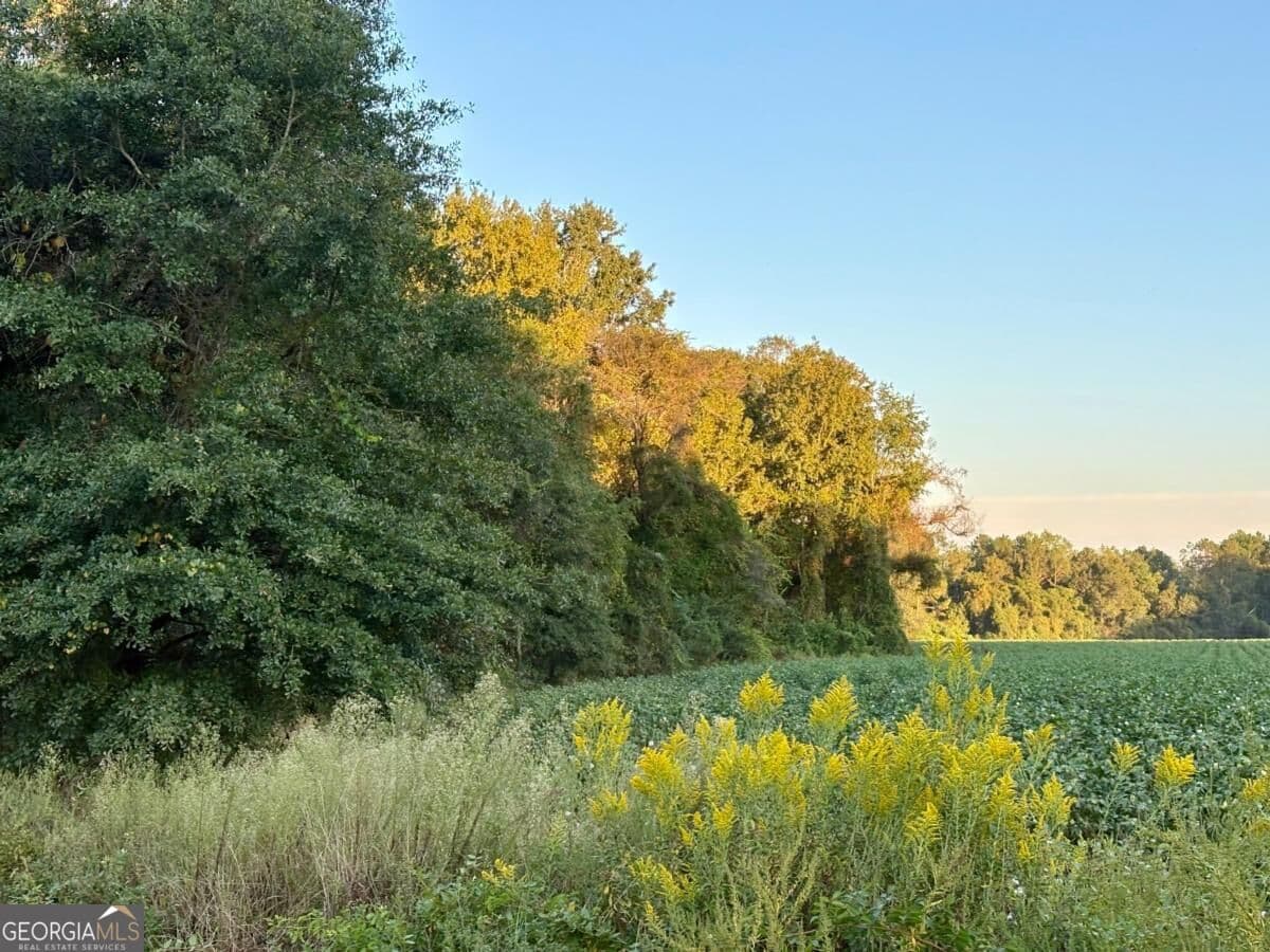 unimproved land for sale at 0 Old Moore Road 3, Portal, GA 30450 — photo 4
