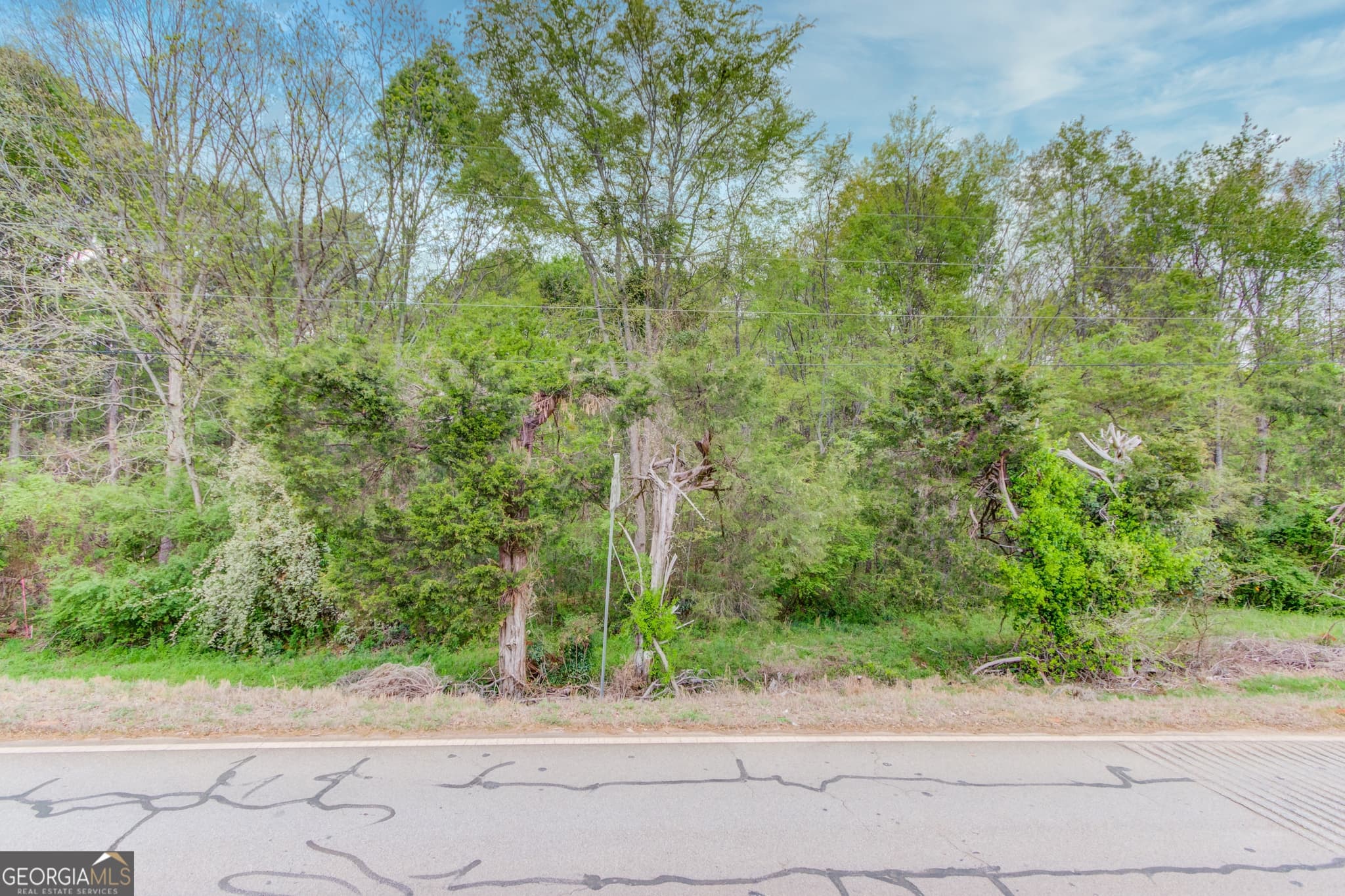 residential lot for sale at 194 Highway 82, Jefferson, GA 30549 — photo 3