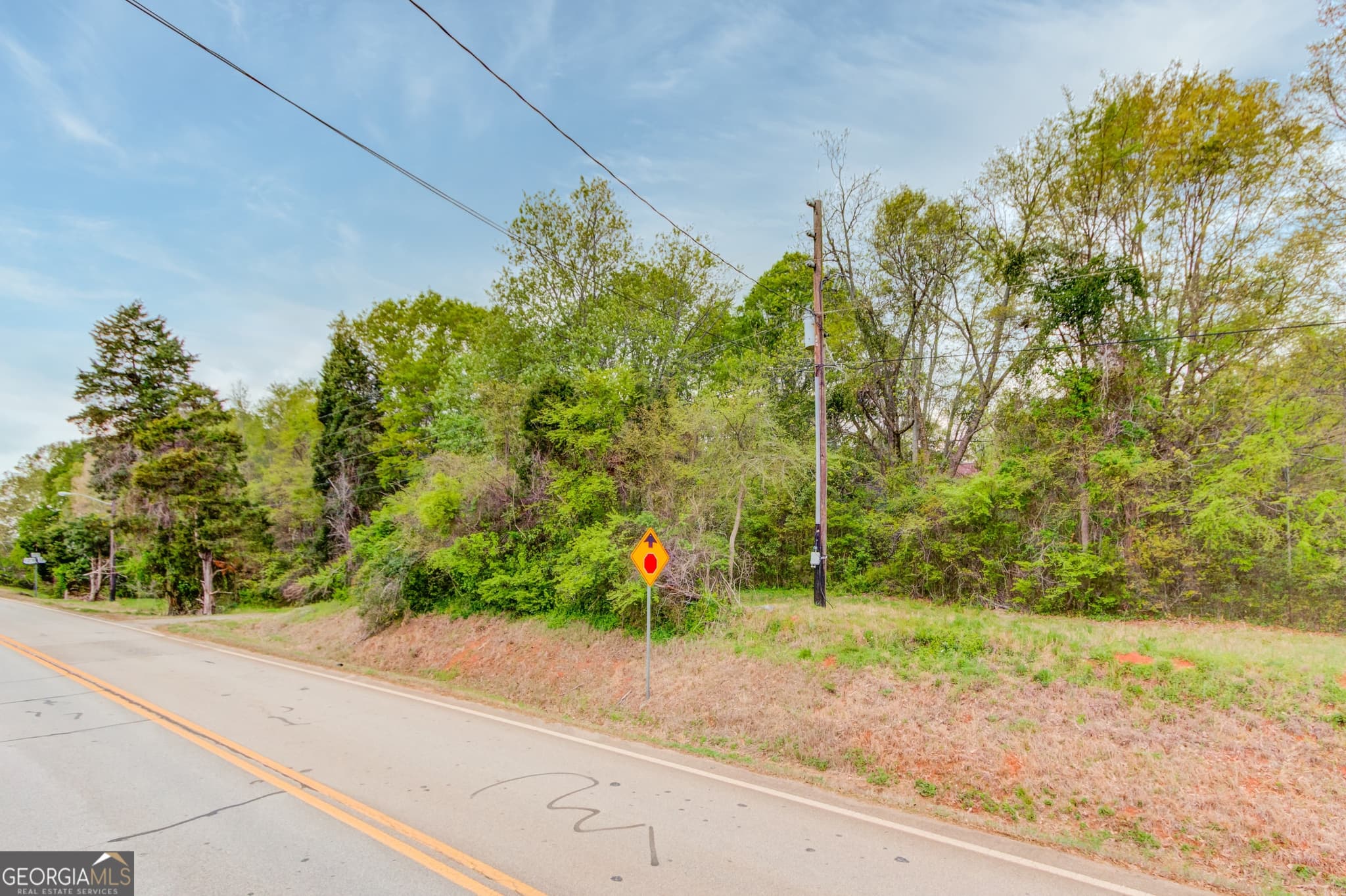 residential lot for sale at 194 Highway 82, Jefferson, GA 30549 — photo 9