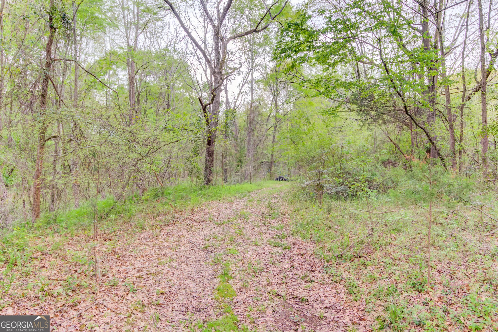 residential lot for sale at 194 Highway 82, Jefferson, GA 30549 — photo 10