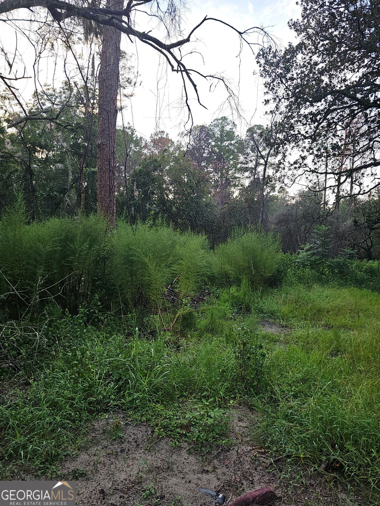 residential lot for sale at 373 Carl Burney Road, Hortense, GA 31543 — photo 3