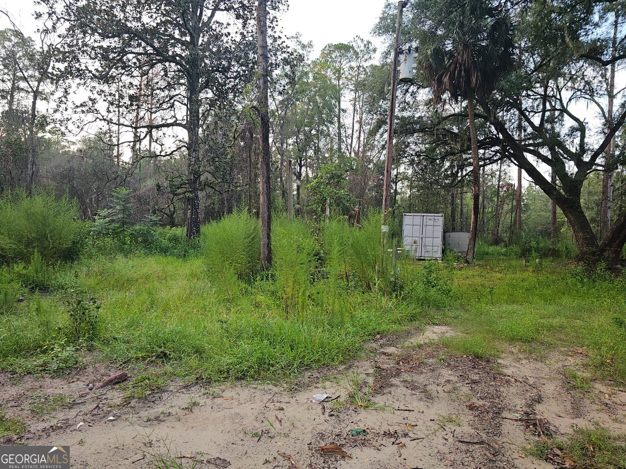 residential lot for sale at 373 Carl Burney Road, Hortense, GA 31543