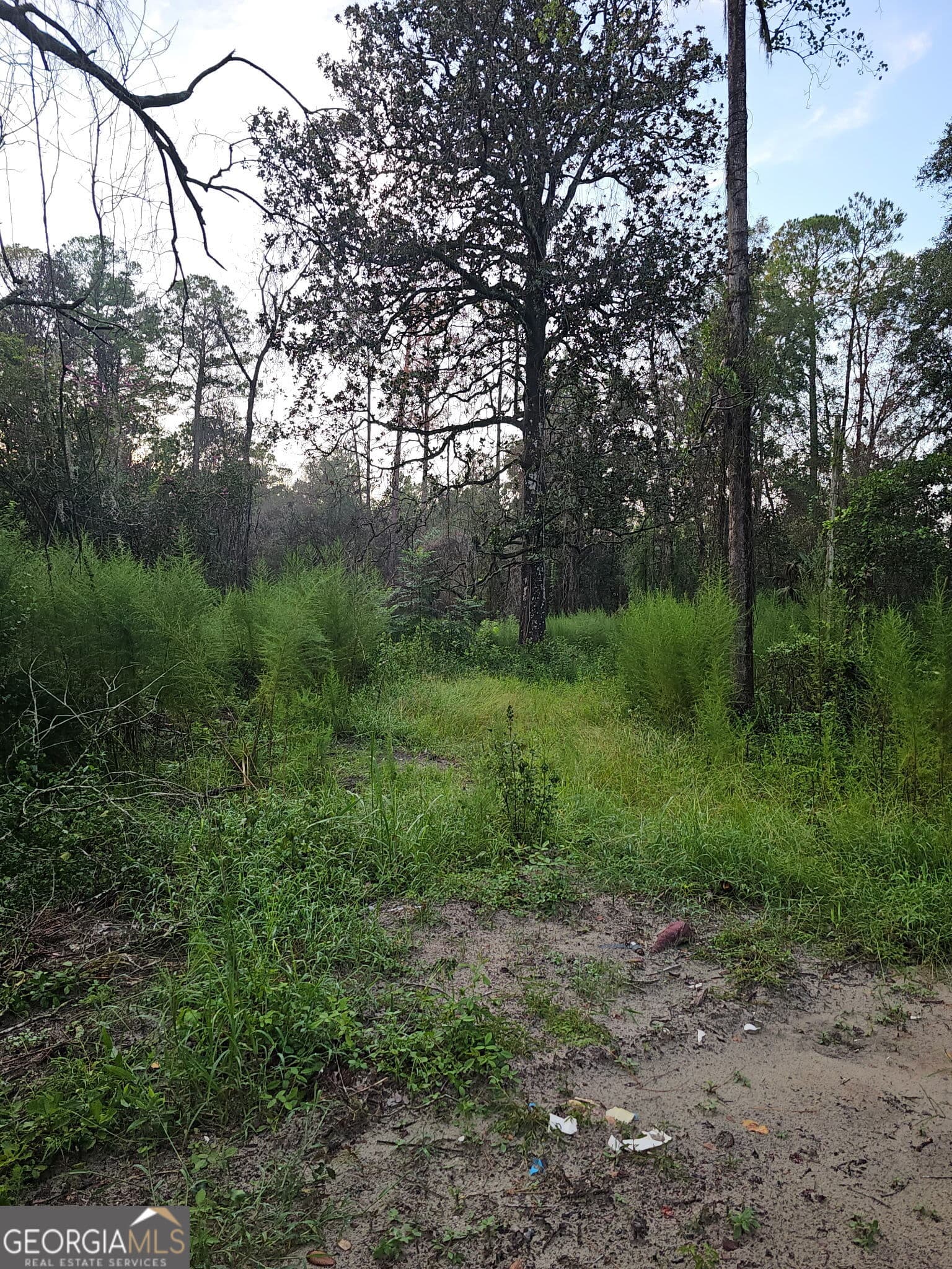 residential lot for sale at 373 Carl Burney Road, Hortense, GA 31543 — photo 4
