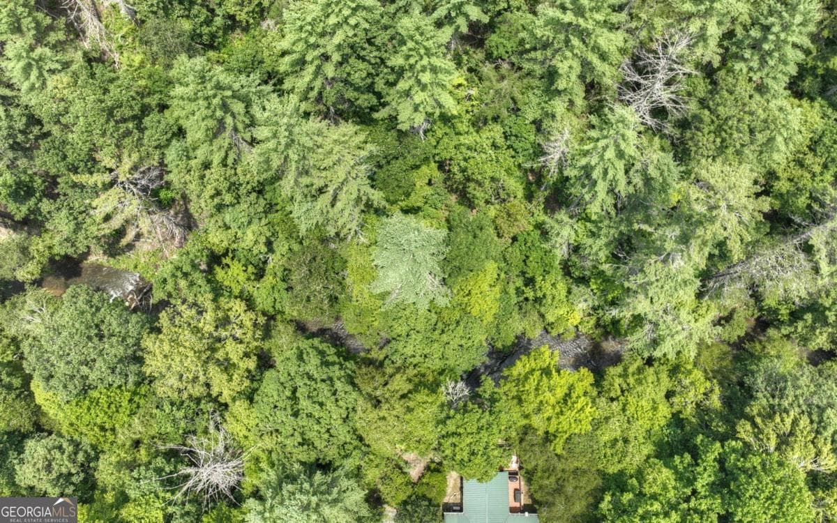 residential lot for sale at LT 22 Rolling Hills Drive 22, Morganton, GA 30560 — photo 2