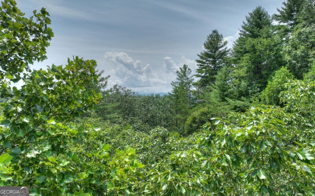 residential lot for sale at LT 22 Rolling Hills Drive 22, Morganton, GA 30560 — photo 3