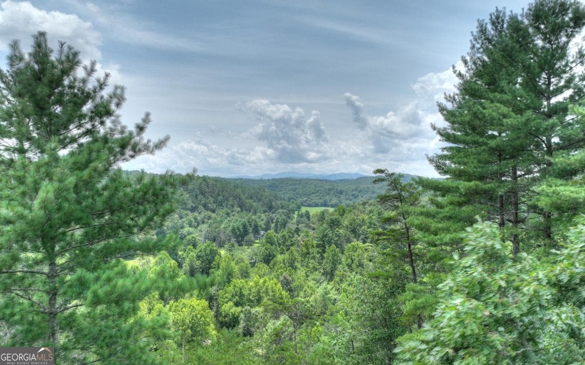 residential lot for sale at LT 22 Rolling Hills Drive 22, Morganton, GA 30560 — photo 1 of 12