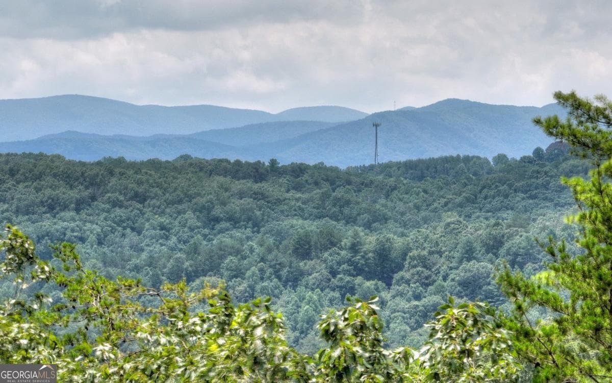 residential lot for sale at LT 22 Rolling Hills Drive 22, Morganton, GA 30560 — photo 5