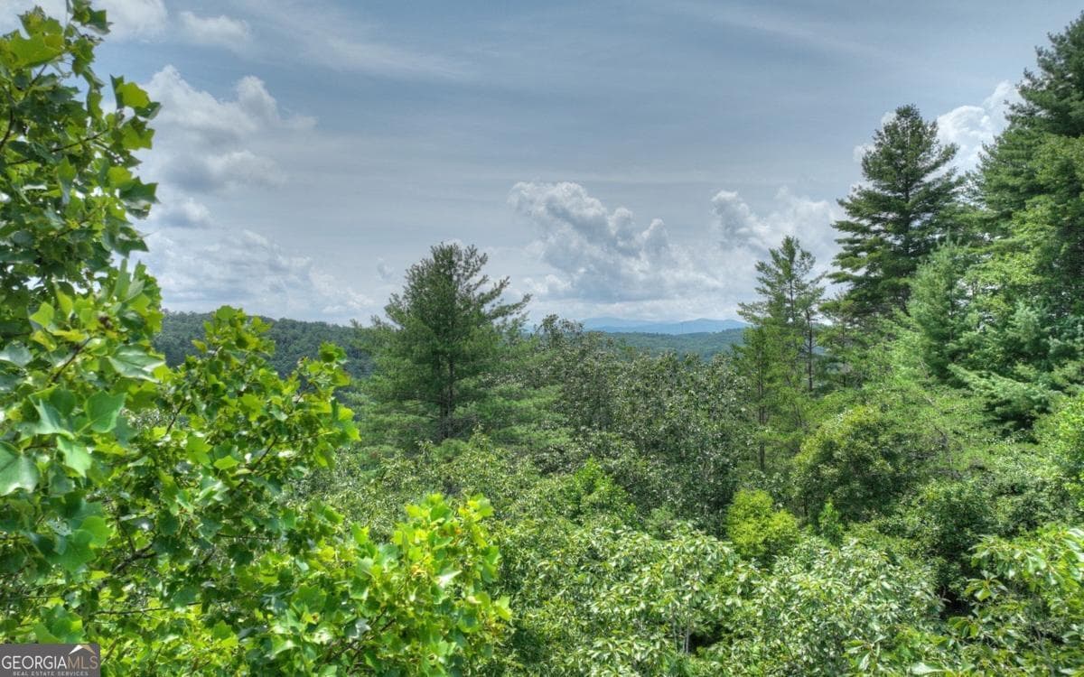 residential lot for sale at LT 22 Rolling Hills Drive 22, Morganton, GA 30560 — photo 9