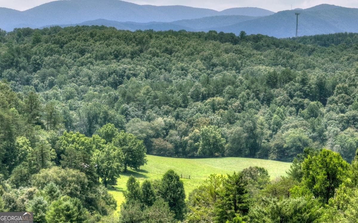 residential lot for sale at LT 22 Rolling Hills Drive 22, Morganton, GA 30560 — photo 4