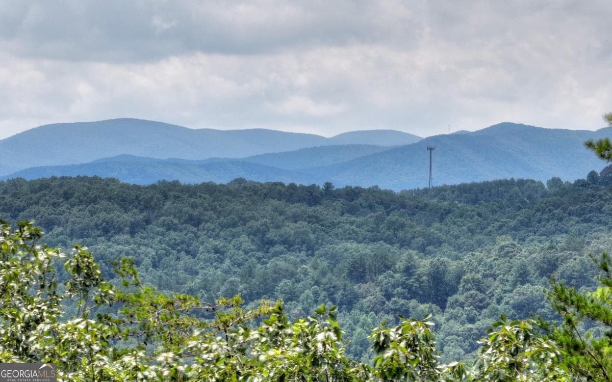 residential lot for sale at LT 22 Rolling Hills Drive 22, Morganton, GA 30560 — photo 8