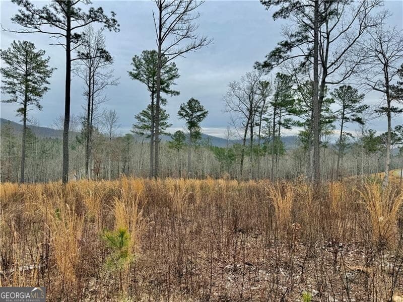 residential lot for sale at 347 Timbercreek Trail, Talking Rock, GA 30175 — photo 2