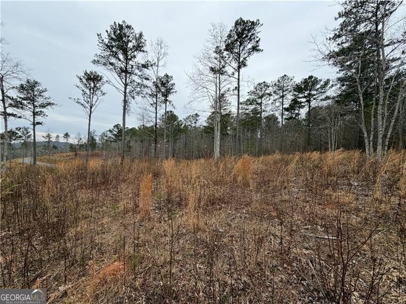 residential lot for sale at 347 Timbercreek Trail, Talking Rock, GA 30175 — photo 6