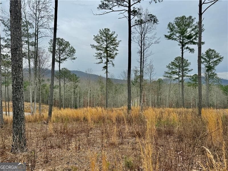 residential lot for sale at 347 Timbercreek Trail, Talking Rock, GA 30175 — photo 7