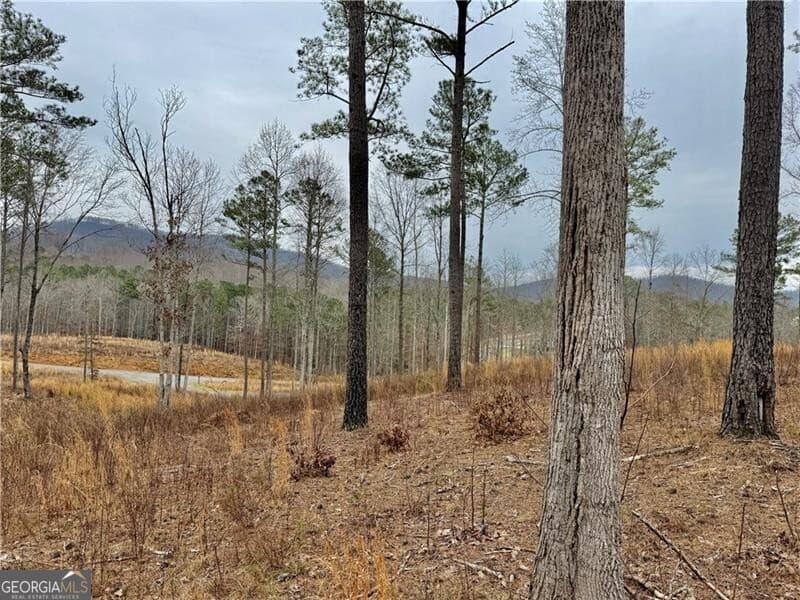 residential lot for sale at 347 Timbercreek Trail, Talking Rock, GA 30175 — photo 3