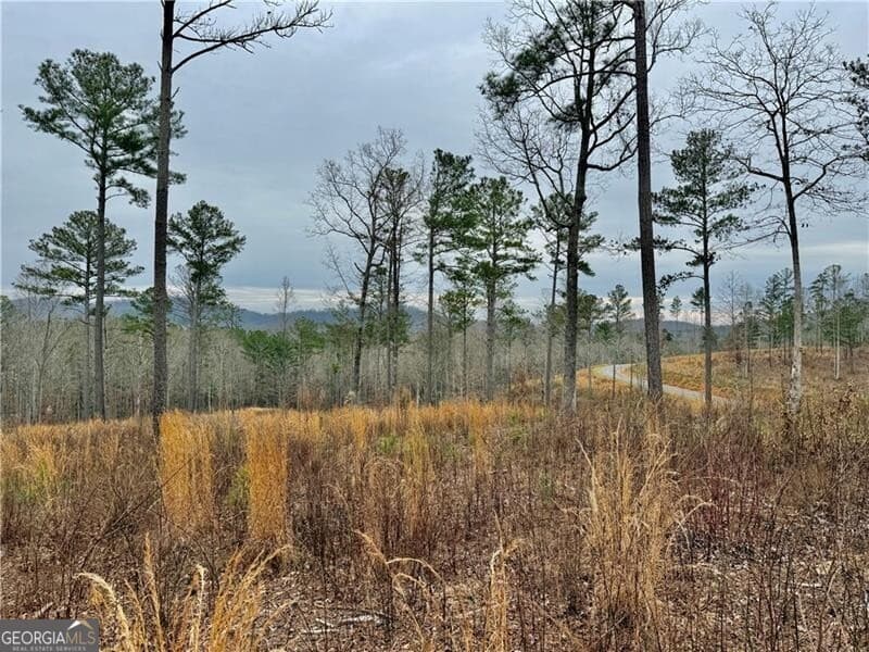 residential lot for sale at 347 Timbercreek Trail, Talking Rock, GA 30175 — photo 1 of 13