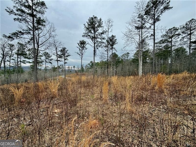 residential lot for sale at 347 Timbercreek Trail, Talking Rock, GA 30175 — photo 5