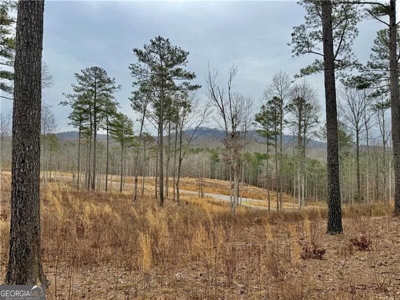 residential lot for sale at 347 Timbercreek Trail, Talking Rock, GA 30175 — photo 9