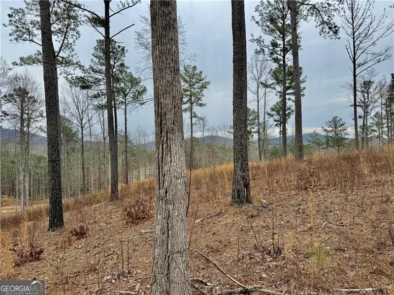 residential lot for sale at 347 Timbercreek Trail, Talking Rock, GA 30175 — photo 10