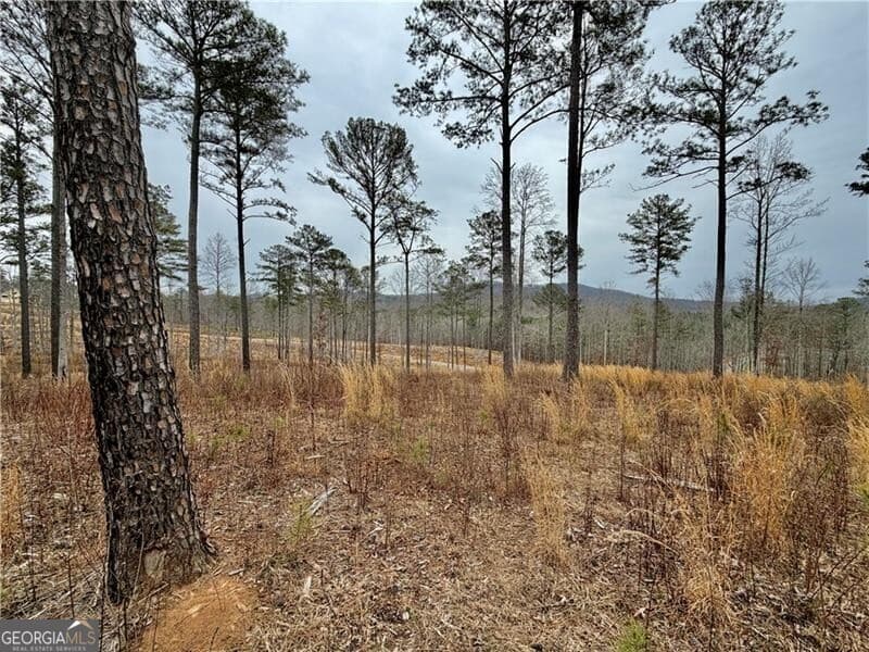 residential lot for sale at 347 Timbercreek Trail, Talking Rock, GA 30175 — photo 4