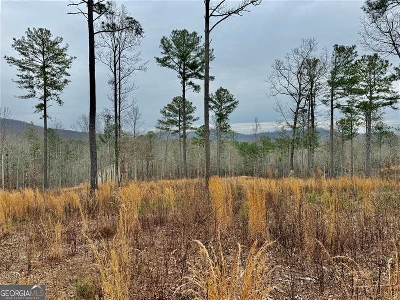 residential lot for sale at 347 Timbercreek Trail, Talking Rock, GA 30175 — photo 8
