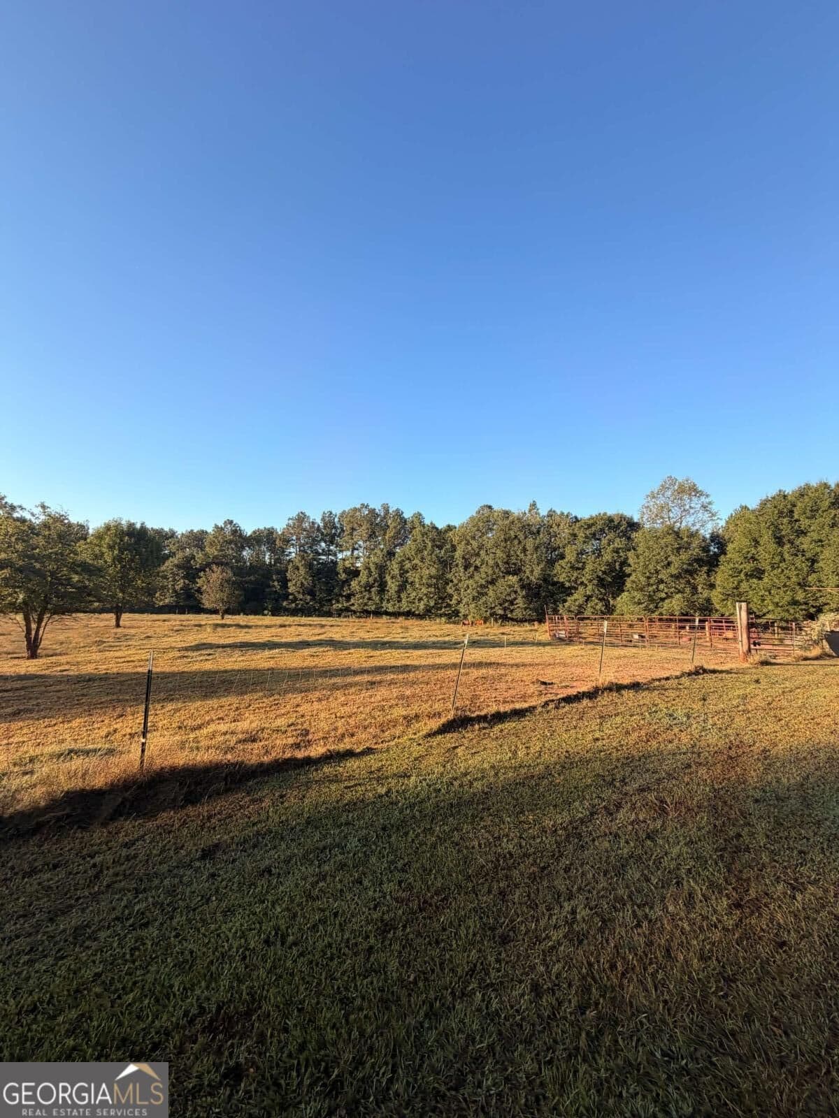 agriculture for sale at 0 Ga-145, Martin, GA 30557 — photo 2