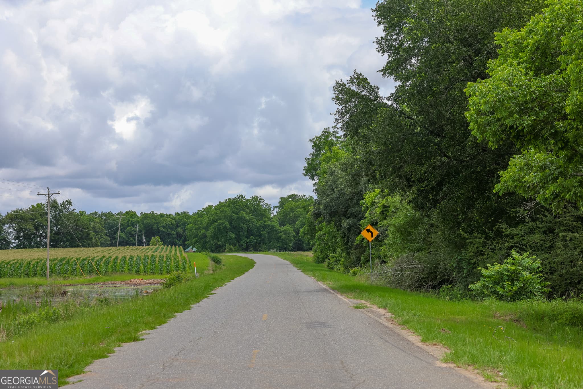 unimproved land for sale at 1 Haynes Road, Edison, GA 39846 — photo 2