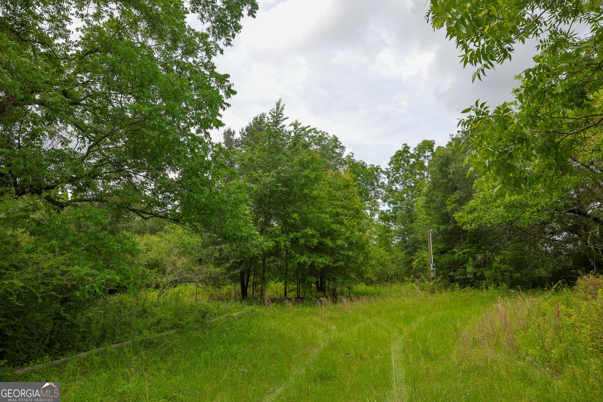 unimproved land for sale at 1 Haynes Road, Edison, GA 39846 — photo 6