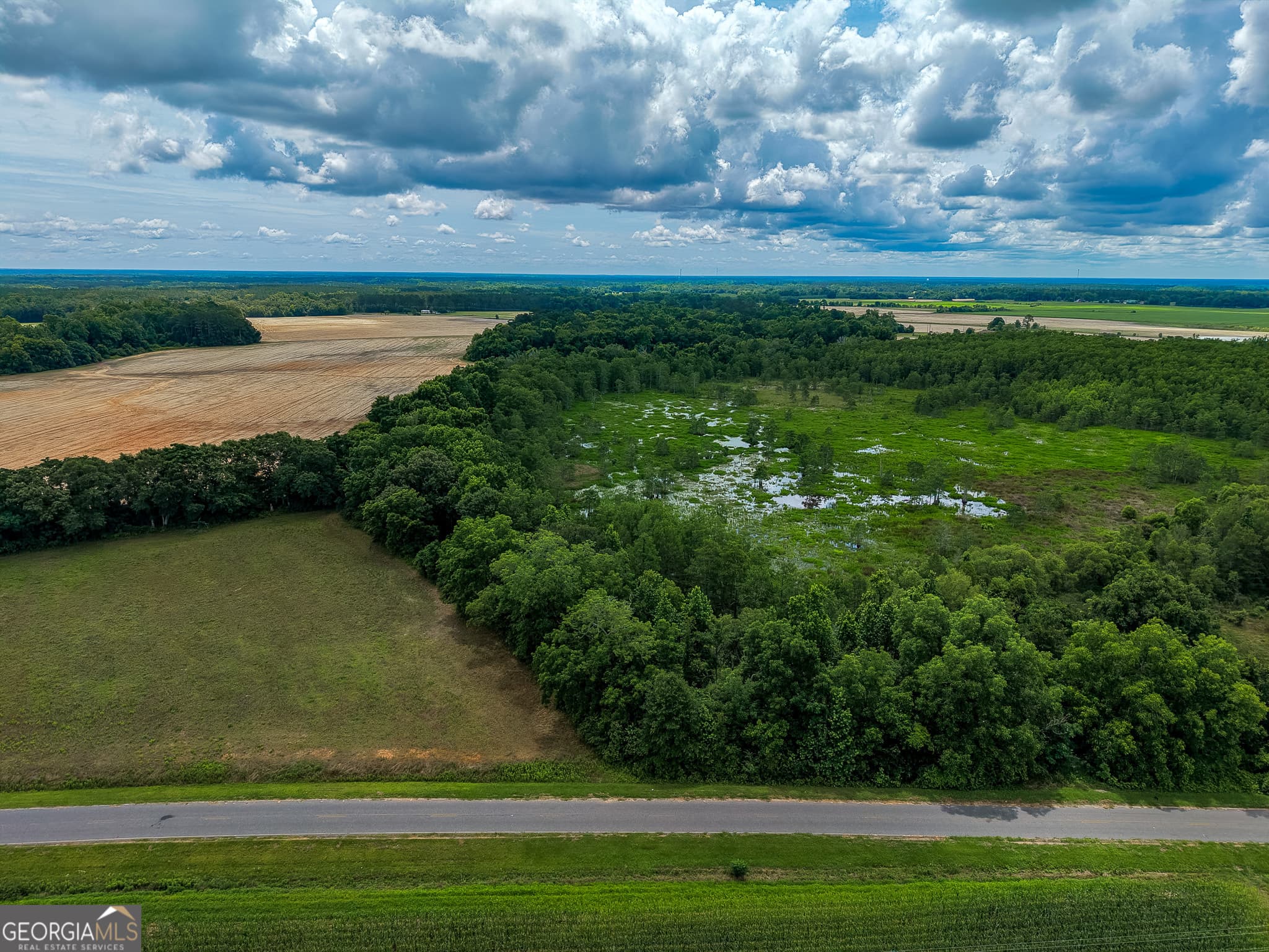unimproved land for sale at 1 Haynes Road, Edison, GA 39846