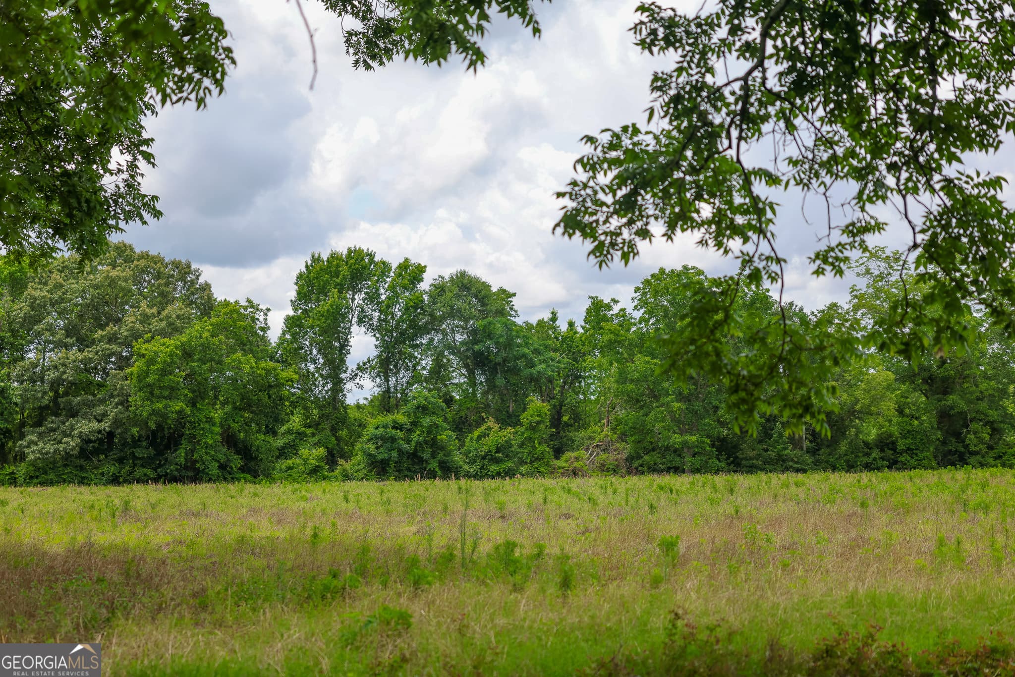 unimproved land for sale at 1 Haynes Road, Edison, GA 39846 — photo 8