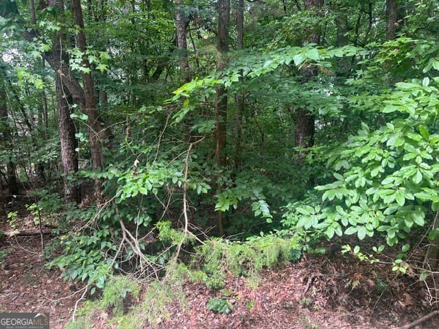 residential lot for sale at 137 Tulip Lane, Westminster, SC 29693 — photo 2