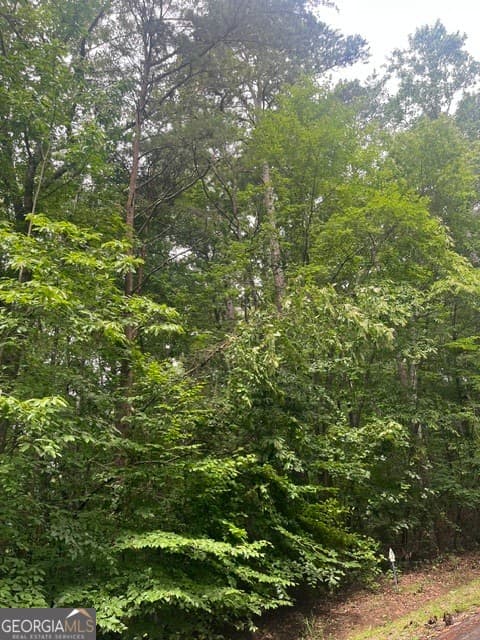 residential lot for sale at 137 Tulip Lane, Westminster, SC 29693 — photo 1 of 9