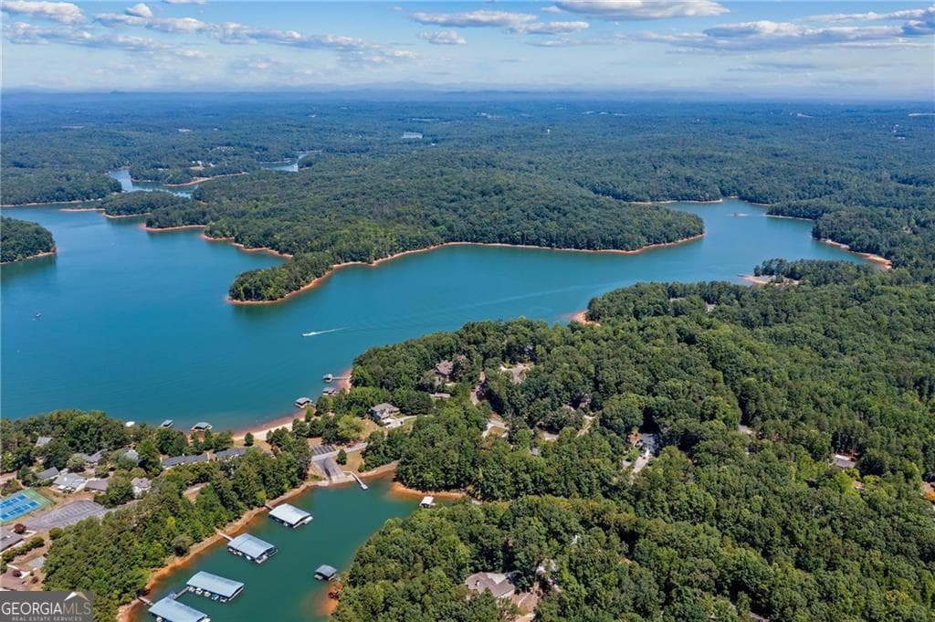 residential lot for sale at 137 Tulip Lane, Westminster, SC 29693 — photo 4