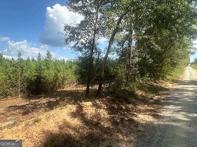 agriculture for sale at 0 Cook Road TRACT #16, Monticello, GA 31064 — photo 2