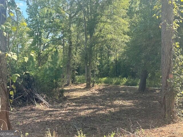agriculture for sale at 0 Cook Road TRACT #16, Monticello, GA 31064 — photo 5