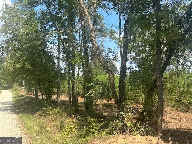 agriculture for sale at 0 Cook Road TRACT #16, Monticello, GA 31064 — photo 4