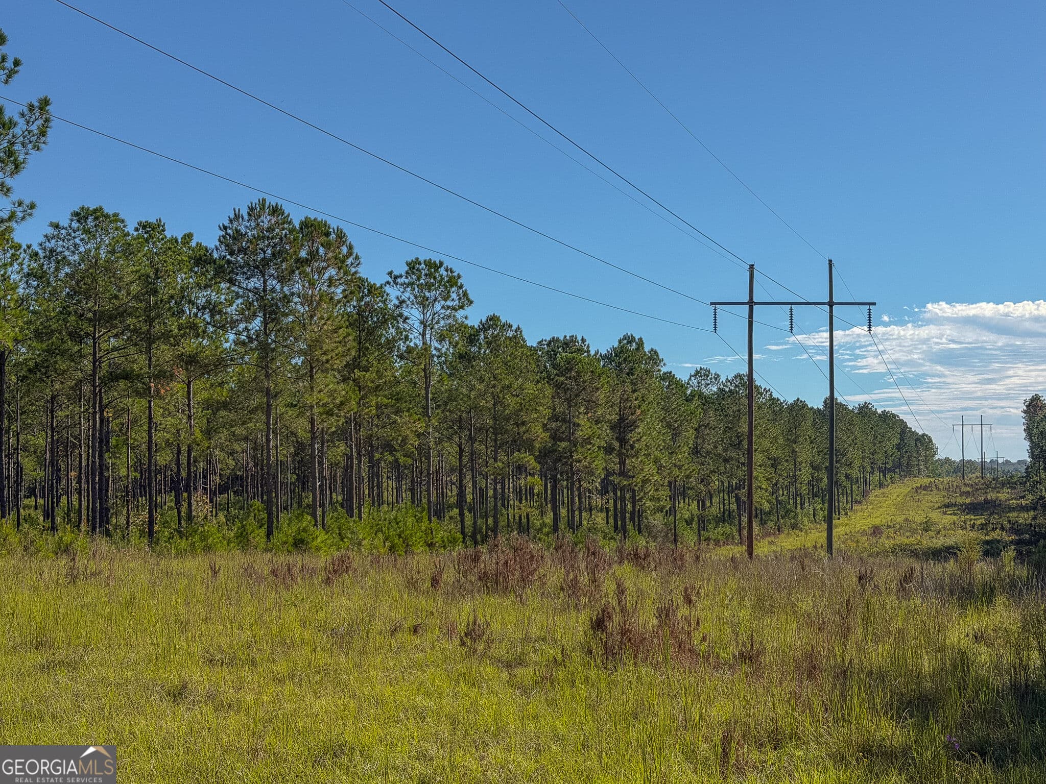 agriculture for sale at 2381 Ga Highway 171, Louisville, GA 30434 — photo 2