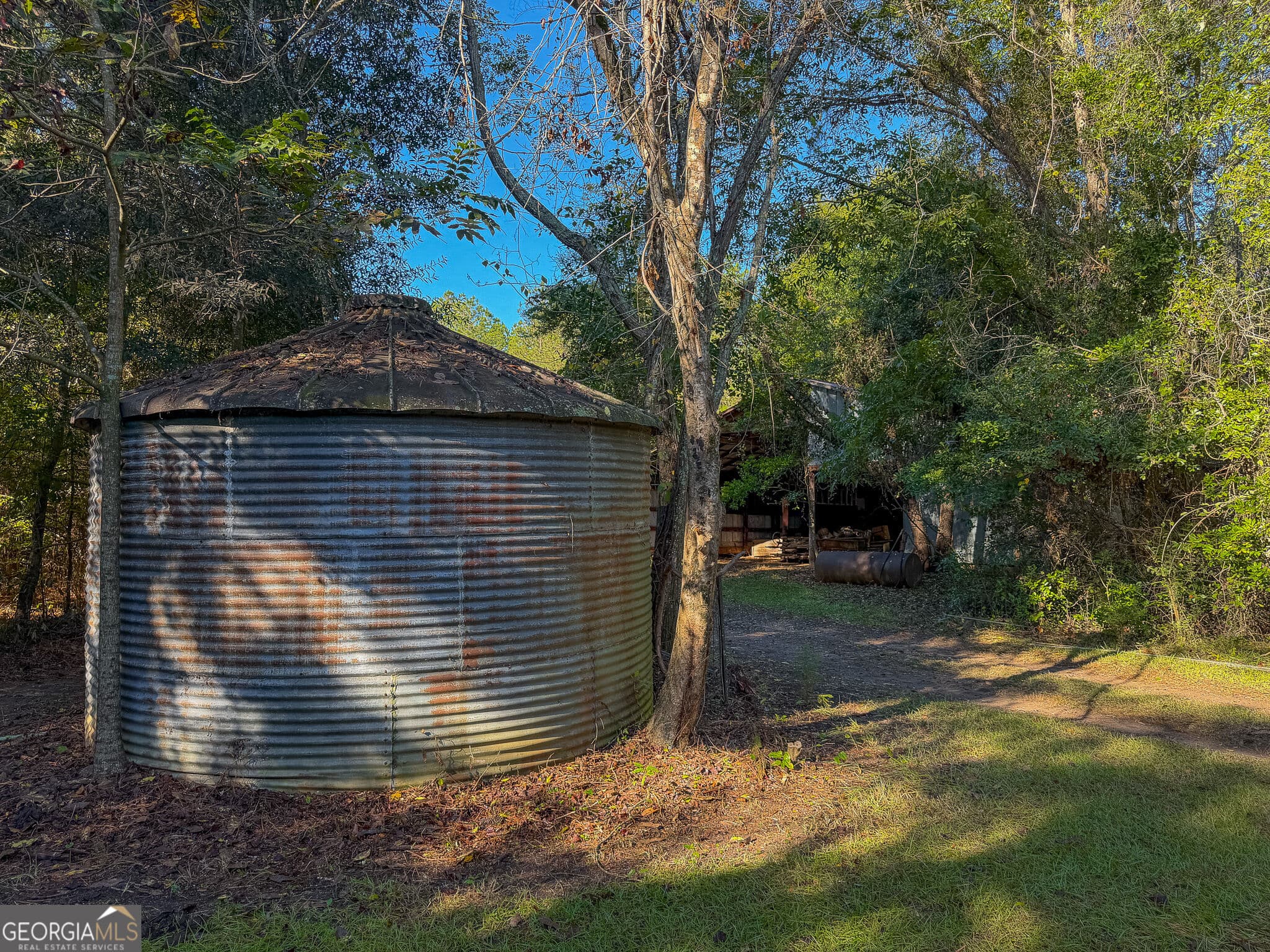 agriculture for sale at 2381 Ga Highway 171, Louisville, GA 30434 — photo 10