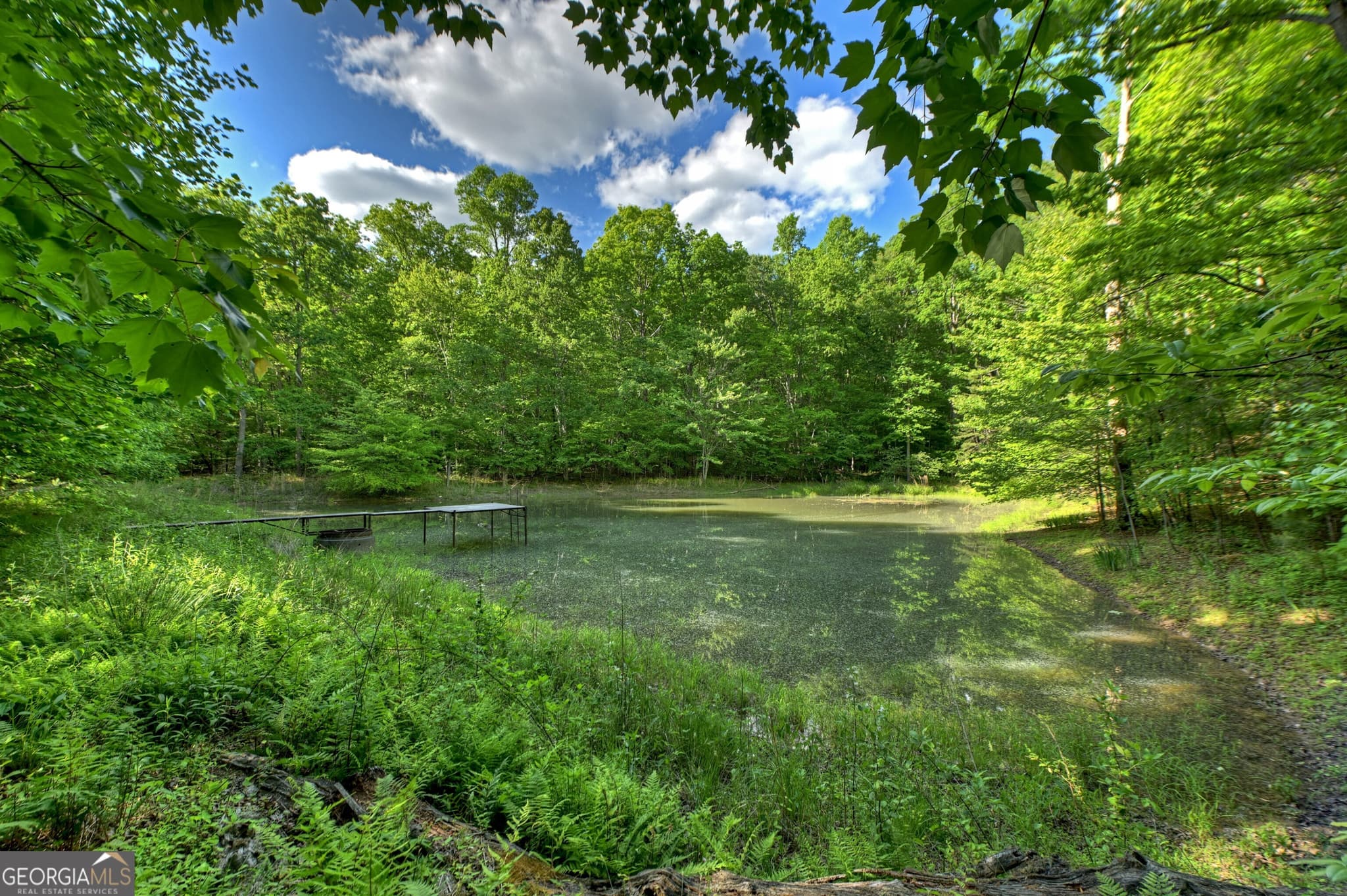 residential lot for sale at 8 AC McNelley Road, Morganton, GA 30560 — photo 2