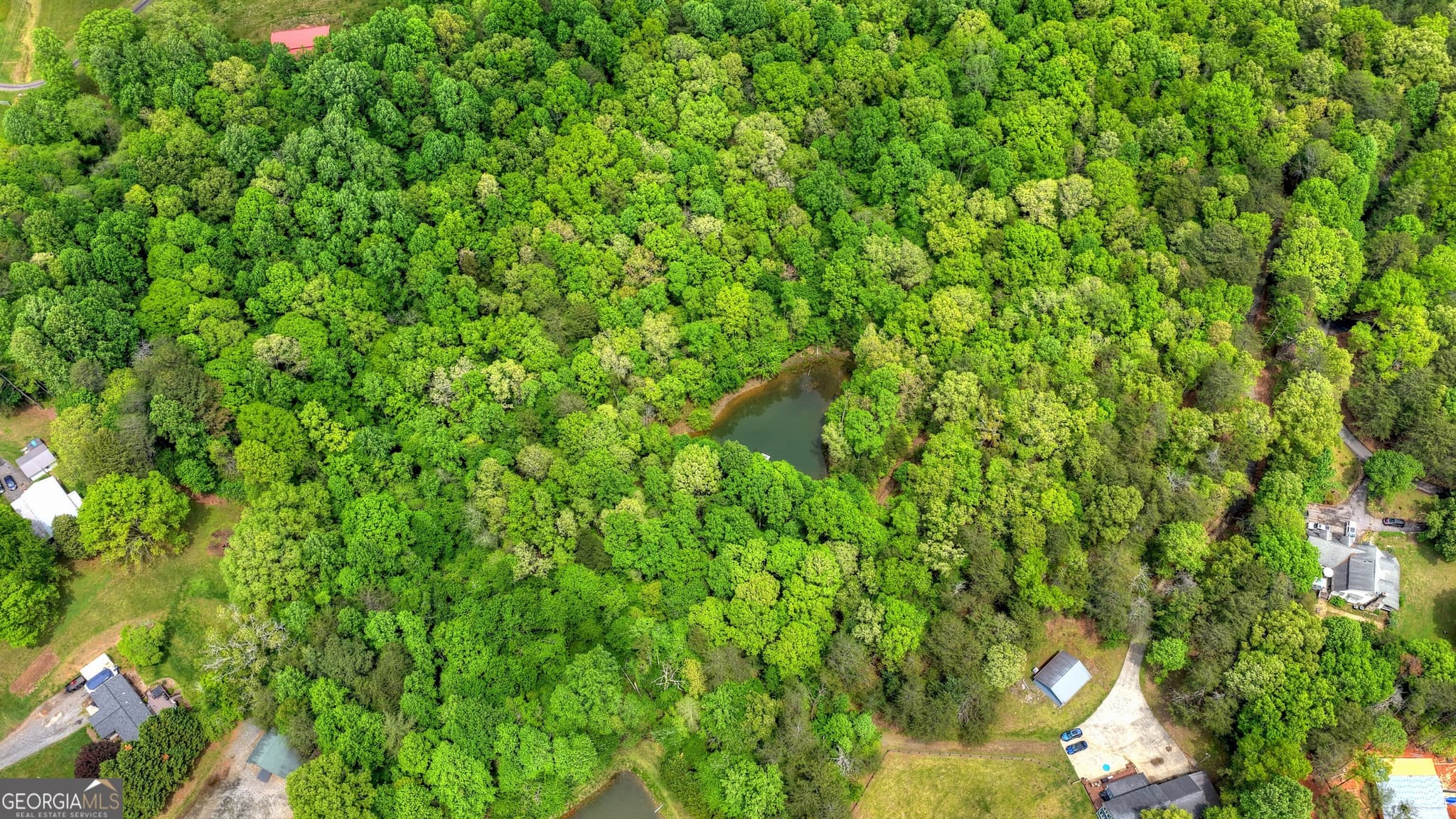 residential lot for sale at 8 AC McNelley Road, Morganton, GA 30560 — photo 7