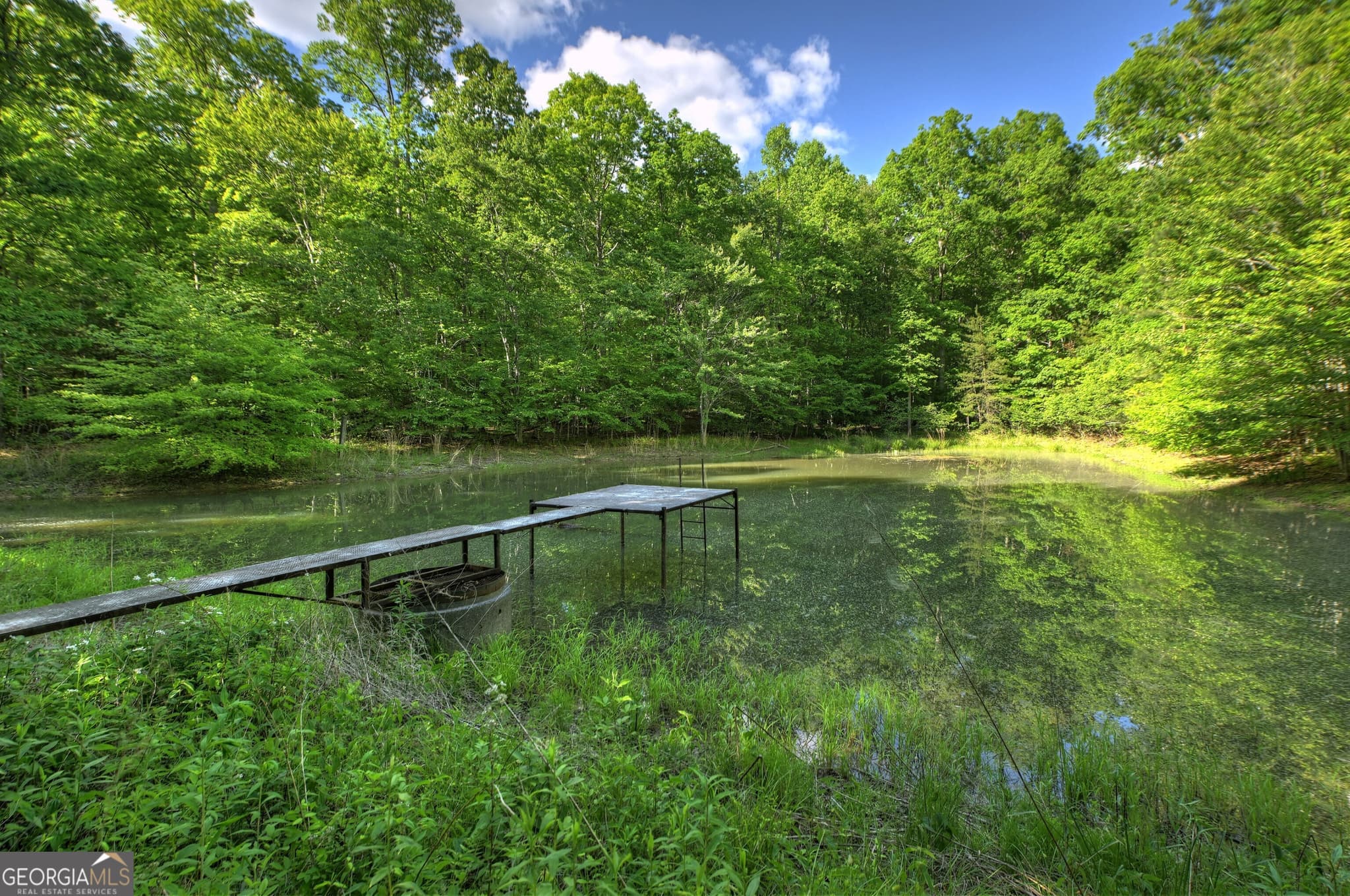 residential lot for sale at 8 AC McNelley Road, Morganton, GA 30560 — photo 3
