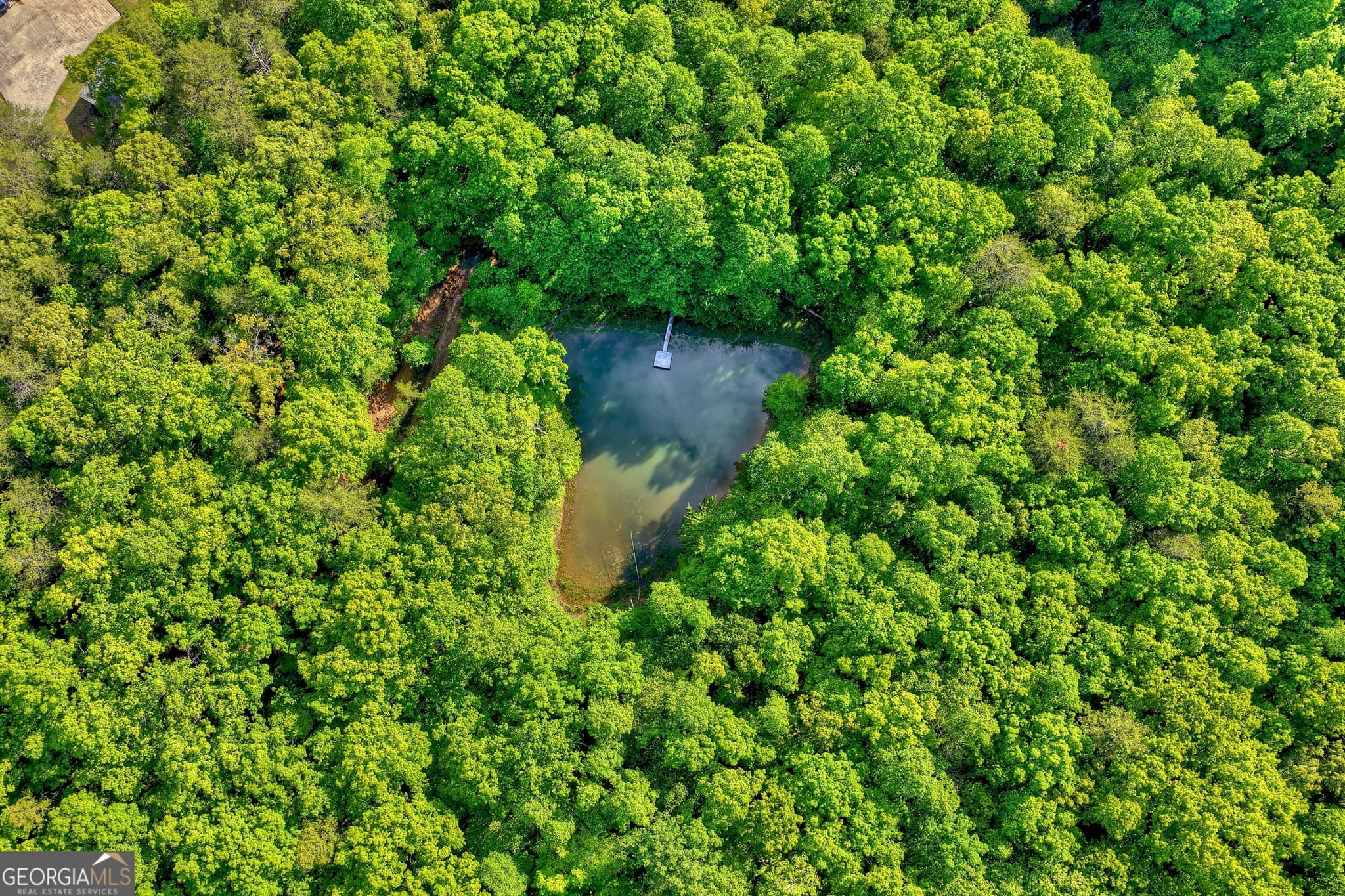 residential lot for sale at 8 AC McNelley Road, Morganton, GA 30560 — photo 1 of 47