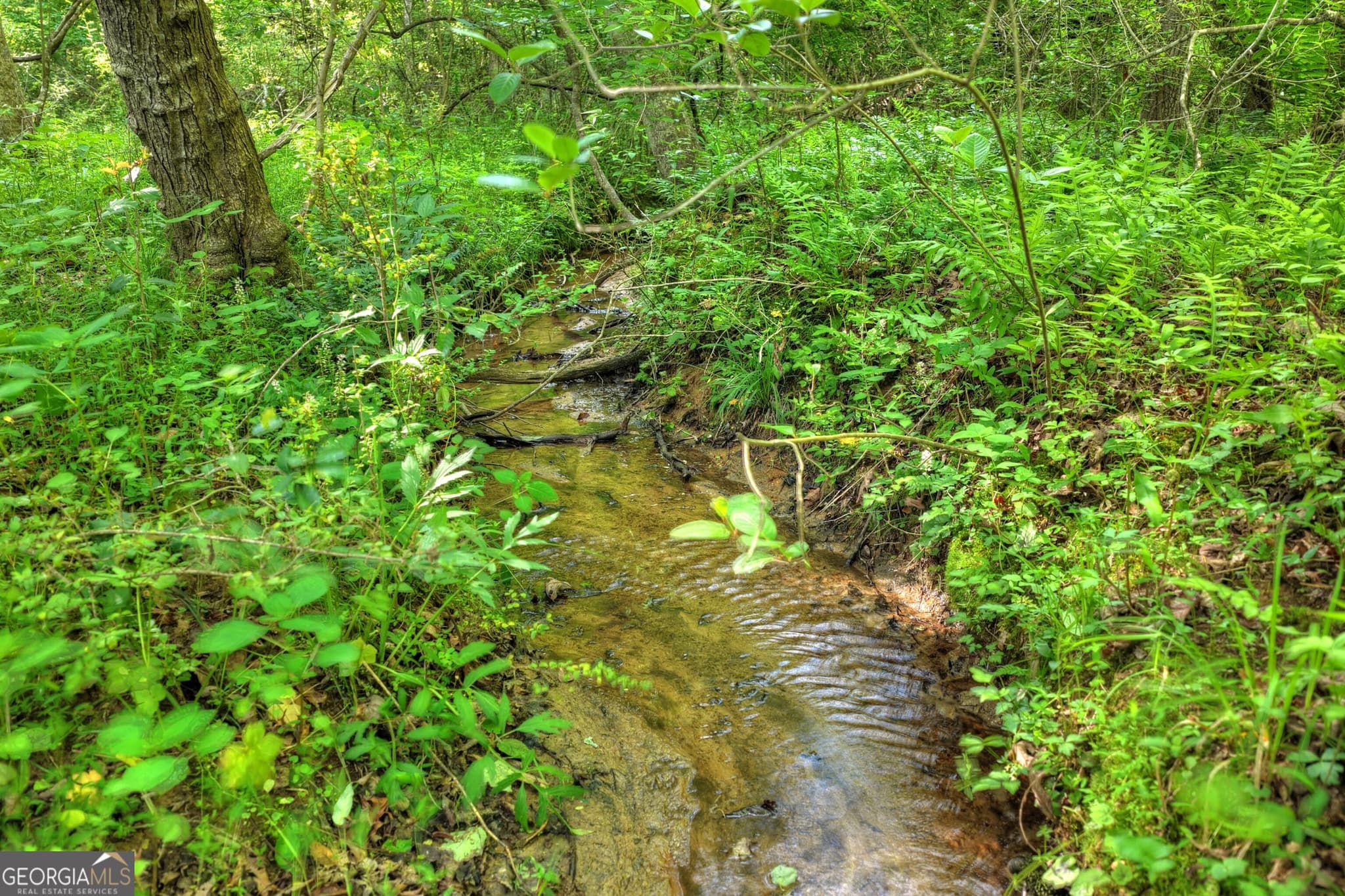 residential lot for sale at 8 AC McNelley Road, Morganton, GA 30560 — photo 5