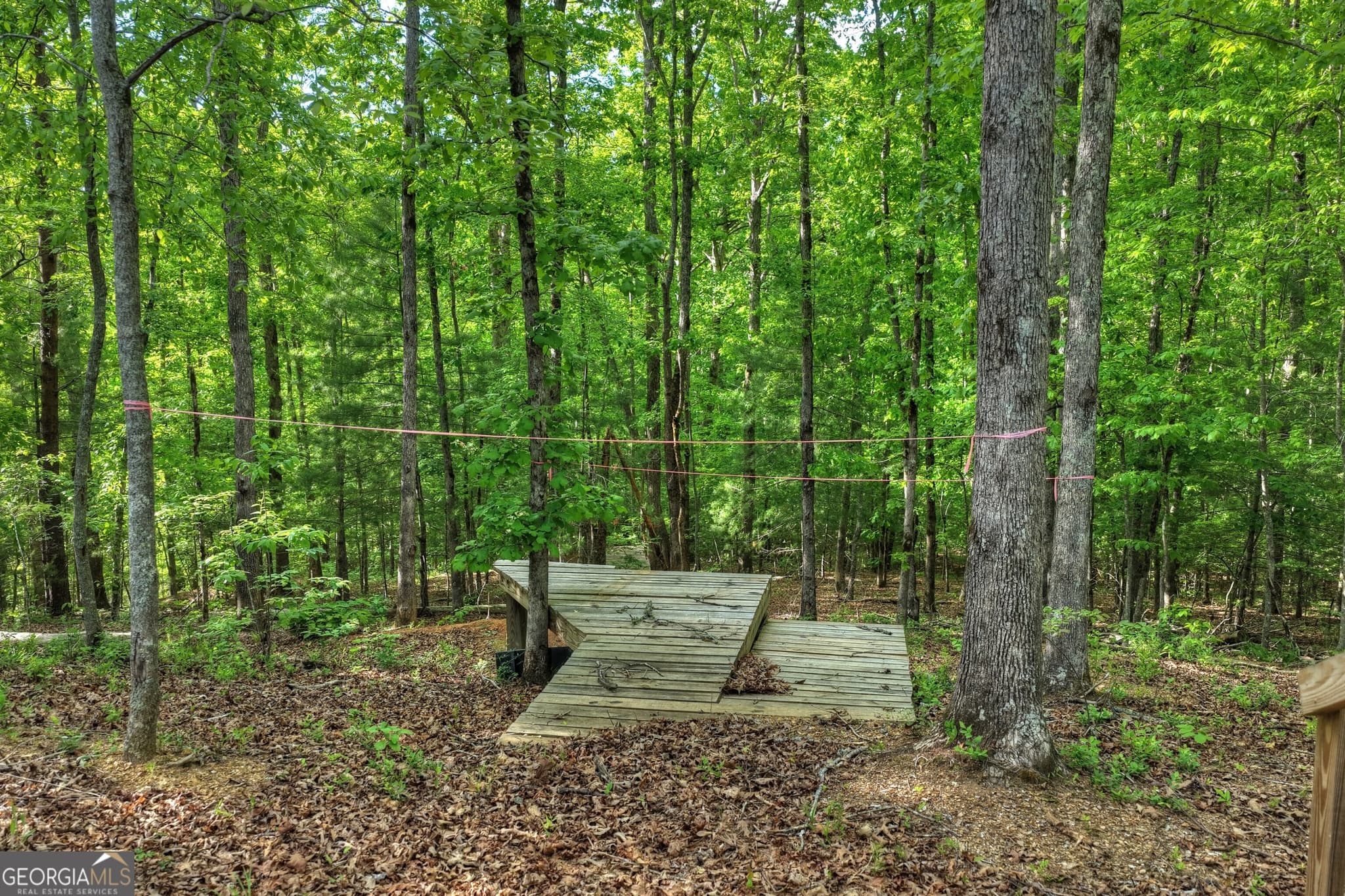 residential lot for sale at 8 AC McNelley Road, Morganton, GA 30560 — photo 9