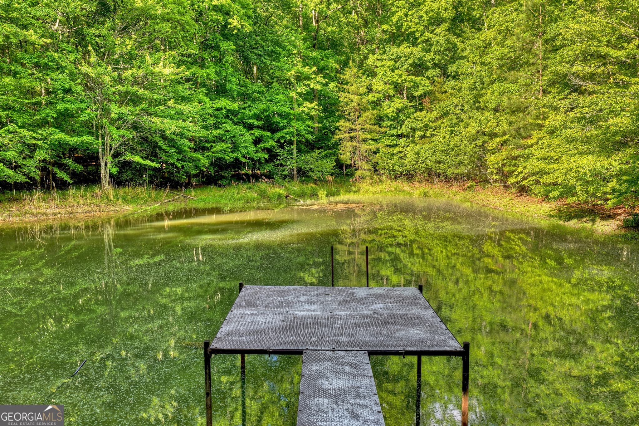 residential lot for sale at 8 AC McNelley Road, Morganton, GA 30560 — photo 4