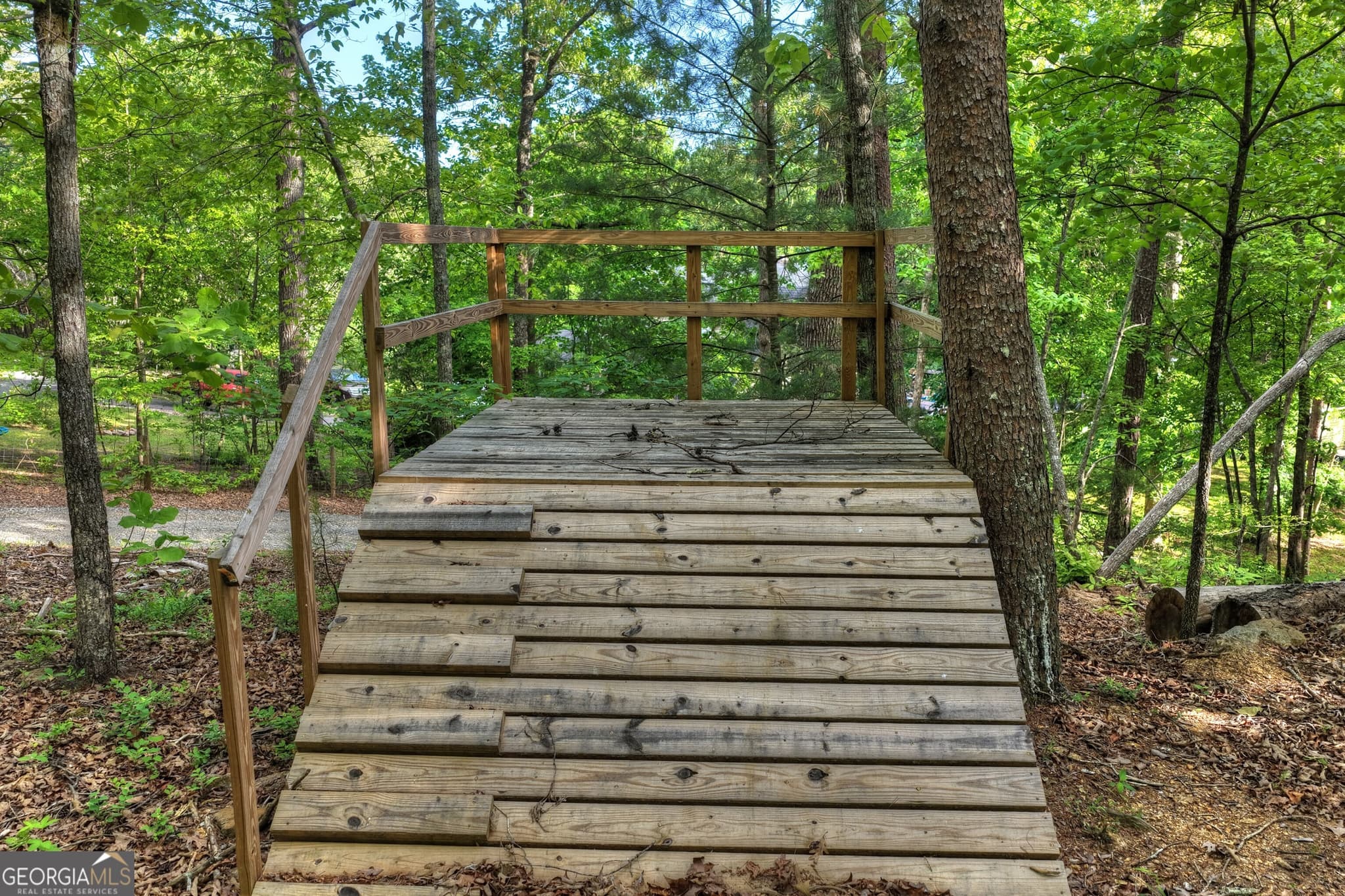 residential lot for sale at 8 AC McNelley Road, Morganton, GA 30560 — photo 8