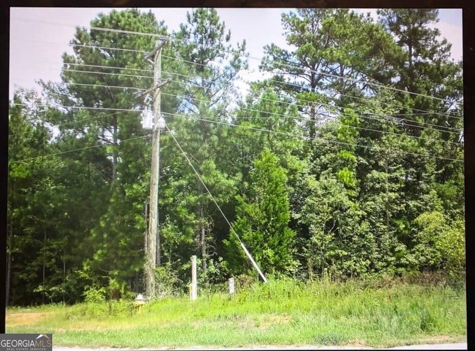 residential lot for sale at 2896 Bonner Gilbert Road, Lizella, GA 31052 — photo 1 of 1
