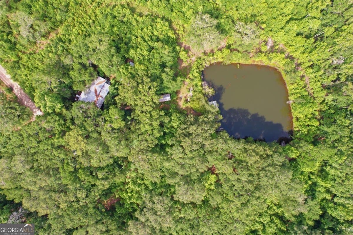 agriculture for sale at 1679 Brighton Road, Darien, GA 31305 — photo 2