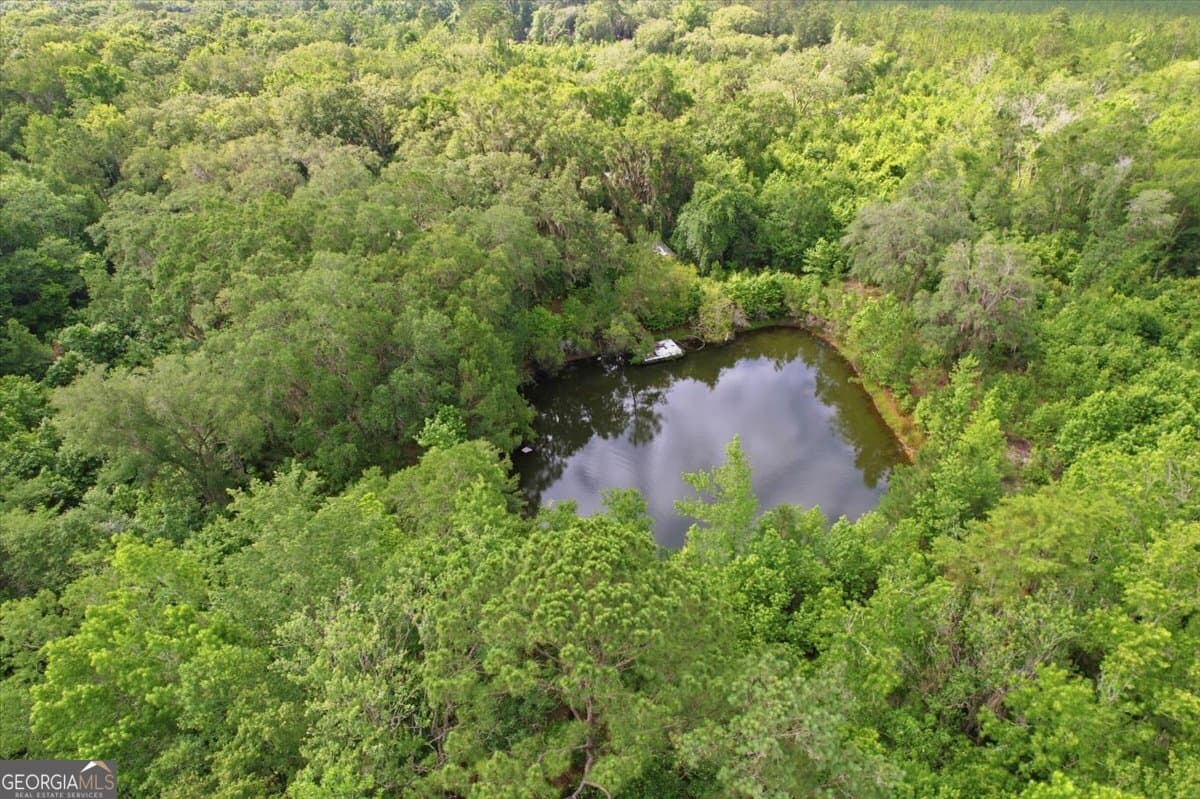 agriculture for sale at 1679 Brighton Road, Darien, GA 31305 — photo 6