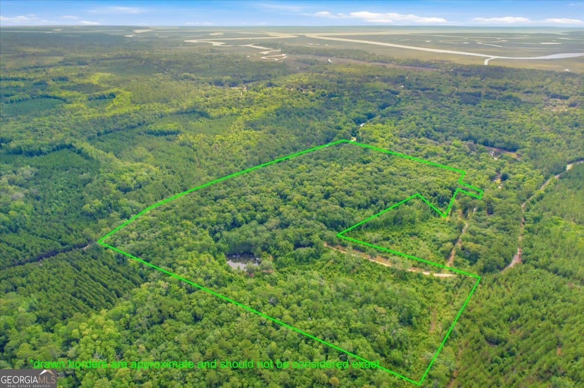 agriculture for sale at 1679 Brighton Road, Darien, GA 31305