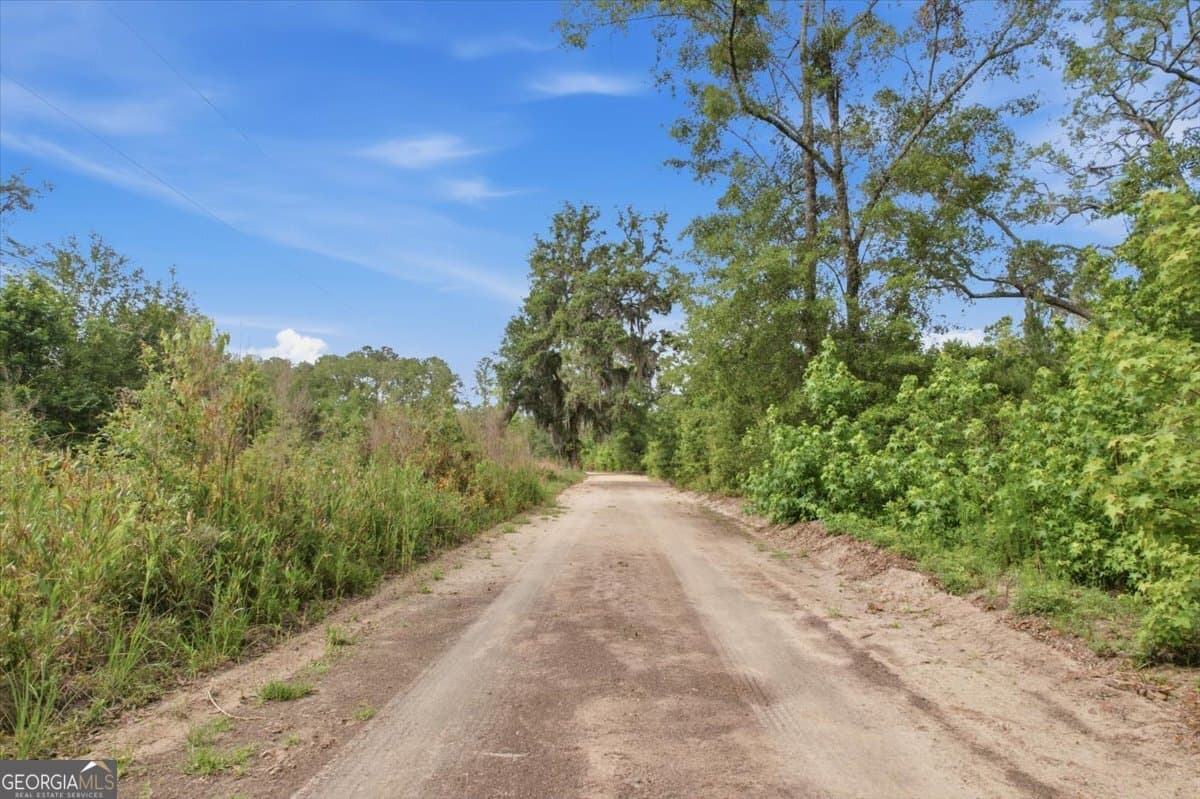 agriculture for sale at 1679 Brighton Road, Darien, GA 31305 — photo 5
